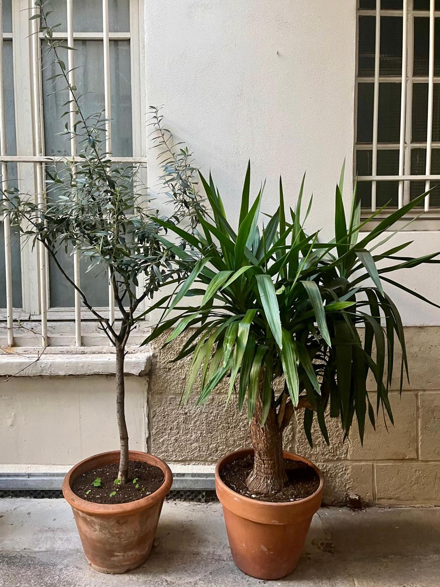 Appartamento Jardin Des Plantes