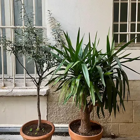 Jardin Des Plantes Apartment Paris Exterior photo